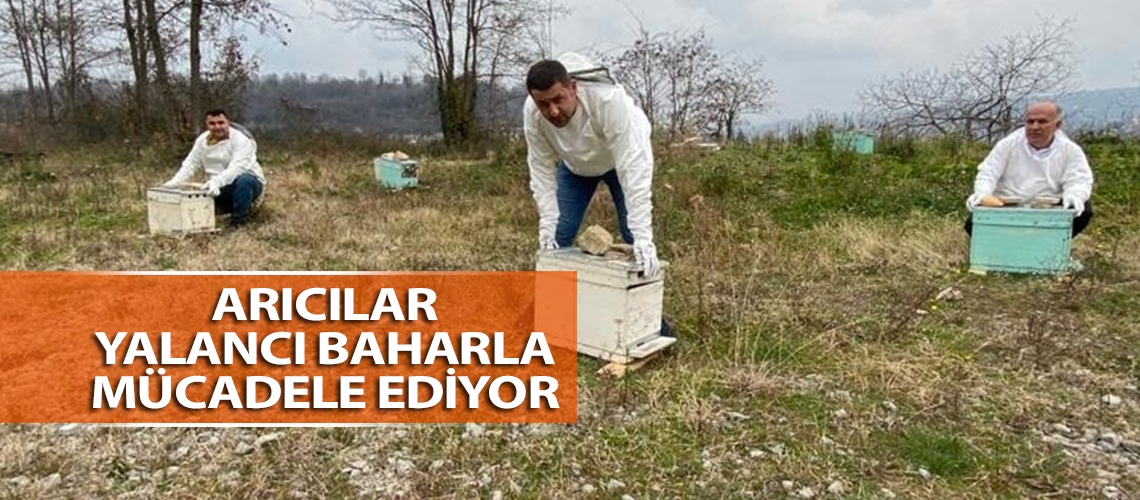 Arıcılar yalancı baharla mücadele ediyor