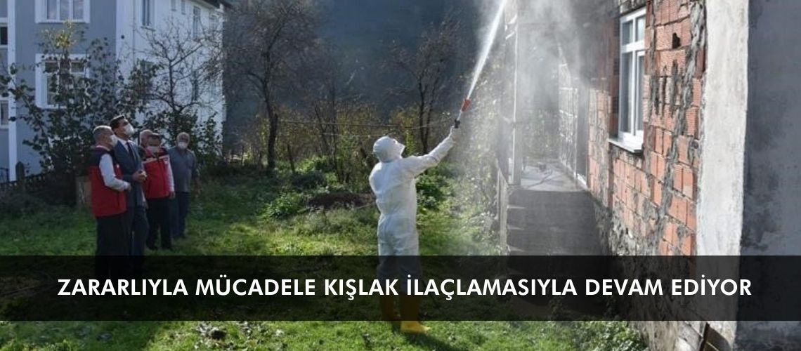 Zararlıyla mücadele kışlak ilaçlamasıyla devam ediyor