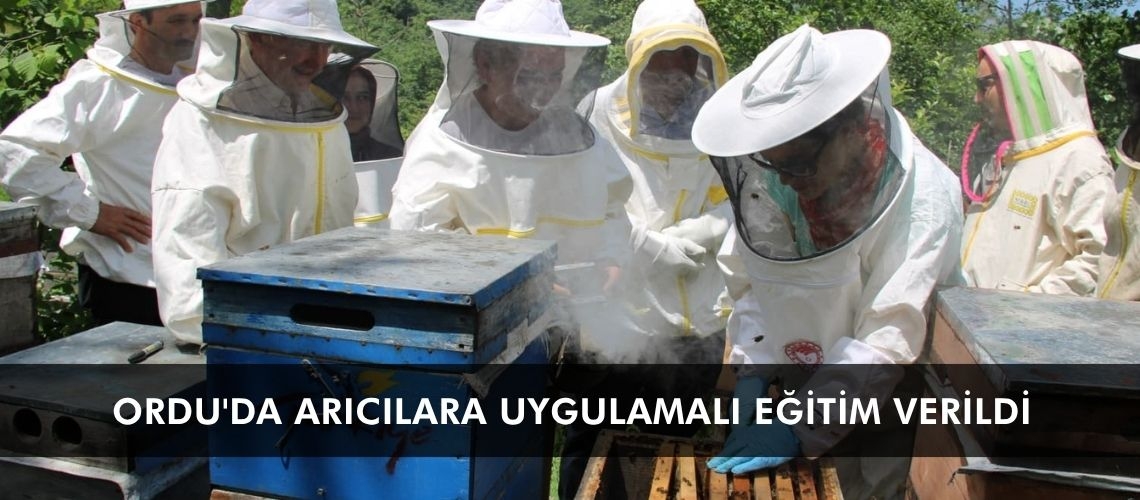 Ordu'da arıcılara uygulamalı eğitim verildi