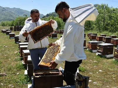 Ordu balında hedef 1500 tonluk ihracat