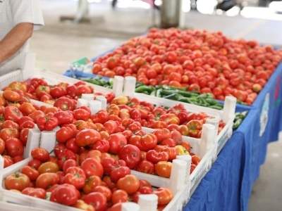 Destekler organik üretimi artırıyor