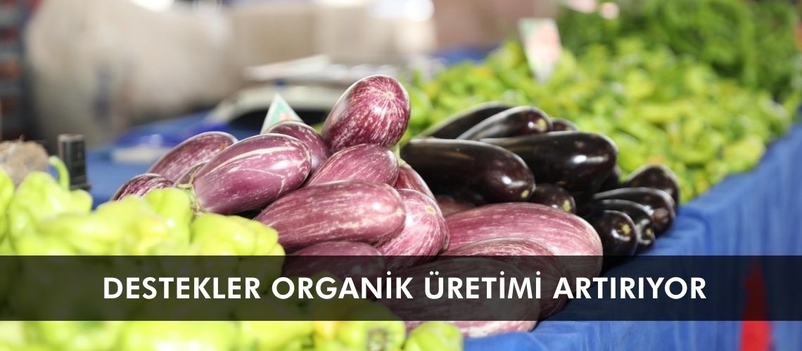 Destekler organik üretimi artırıyor