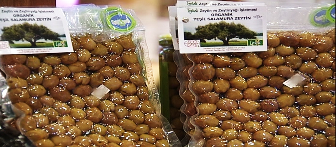Organik Zeytin Yetiştiriciliği
