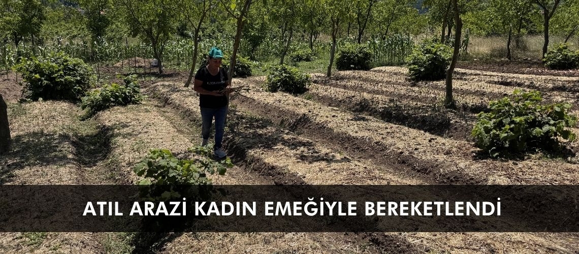 Atıl arazi kadın emeğiyle bereketlendi