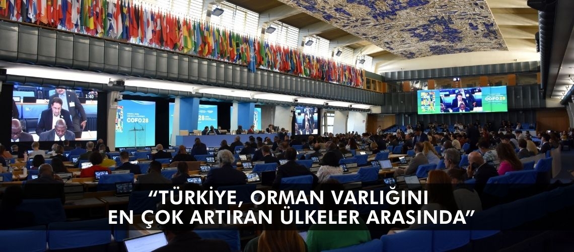 “Türkiye, orman varlığını en çok artıran ülkeler arasında”