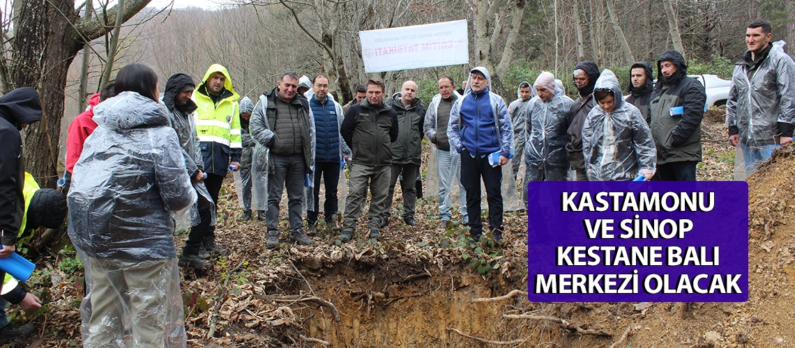 Kastamonu ve Sinop kestane balı merkezi olacak