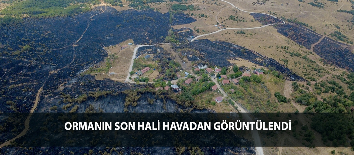 Ormanın son hali havadan görüntülendi