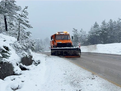Ormanlar beyaza büründü