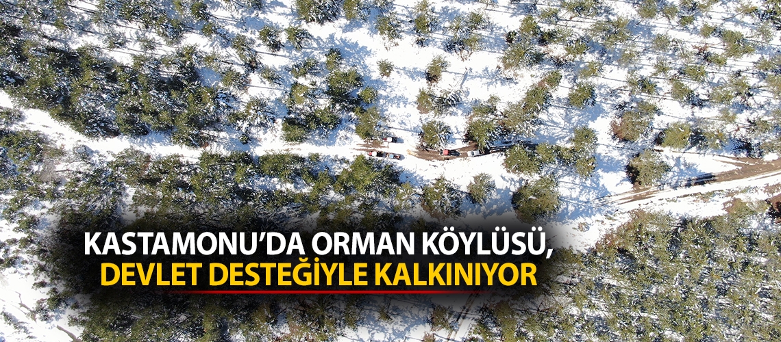 Kastamonu’da orman köylüsü, devlet desteğiyle kalkınıyor