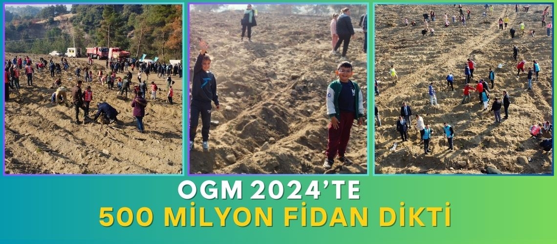 OGM 2024’te 500 milyon fidan dikti