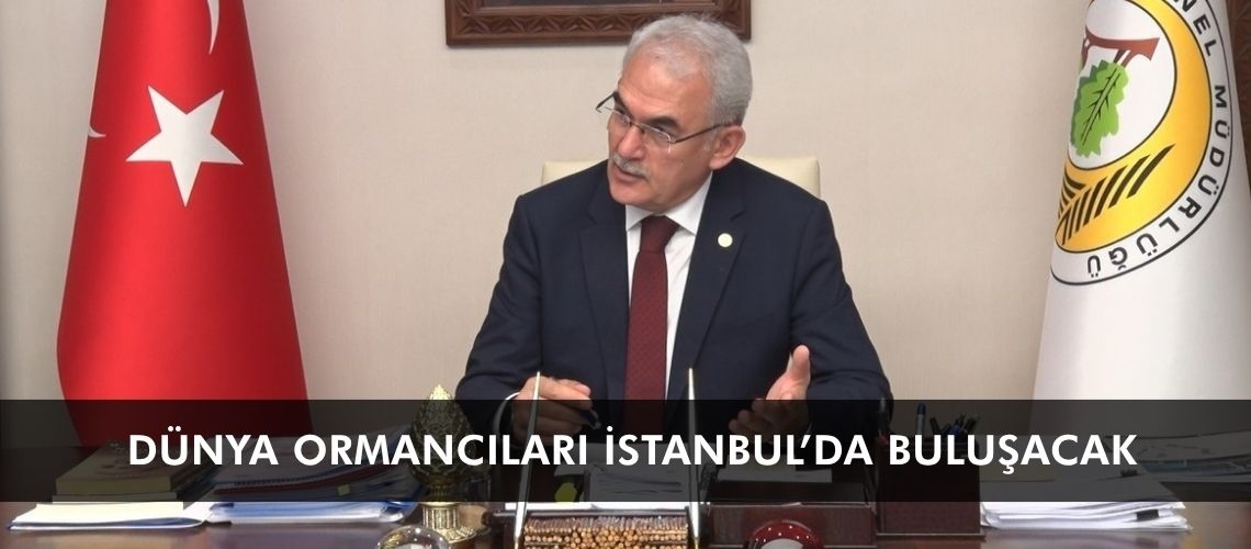 Dünya ormancıları İstanbul’da buluşacak