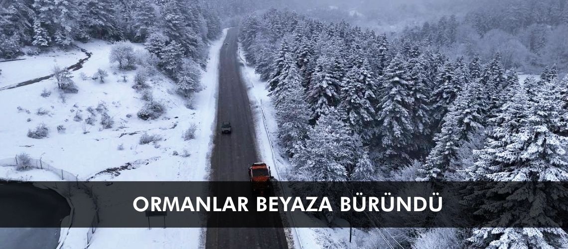 Ormanlar beyaza büründü