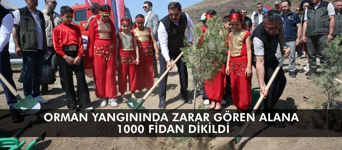 Orman yangınında zarar gören alana 1000 fidan dikildi