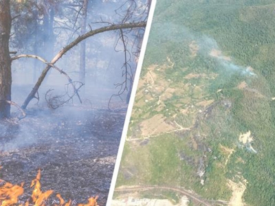 Türkiye’den Gürcistan’a yardım eli