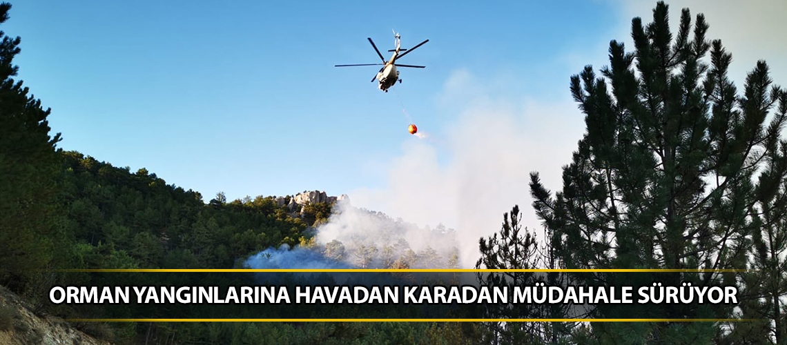 Orman yangınlarına havadan karadan müdahale sürüyor