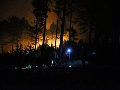 Orman yangınlarına havadan karadan müdahale sürüyor