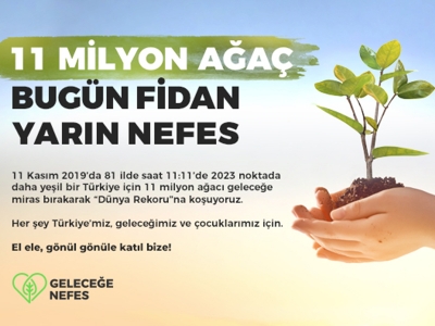 Yanan alanlar yeniden yeşerecek