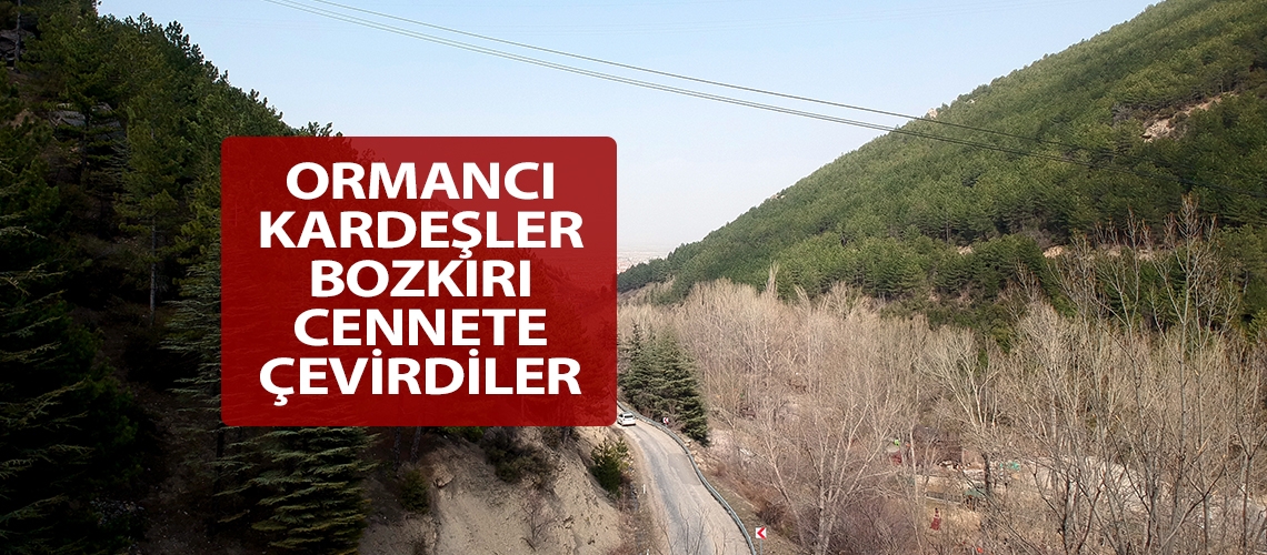 Ormancı kardeşler bozkırı cennete çevirdiler