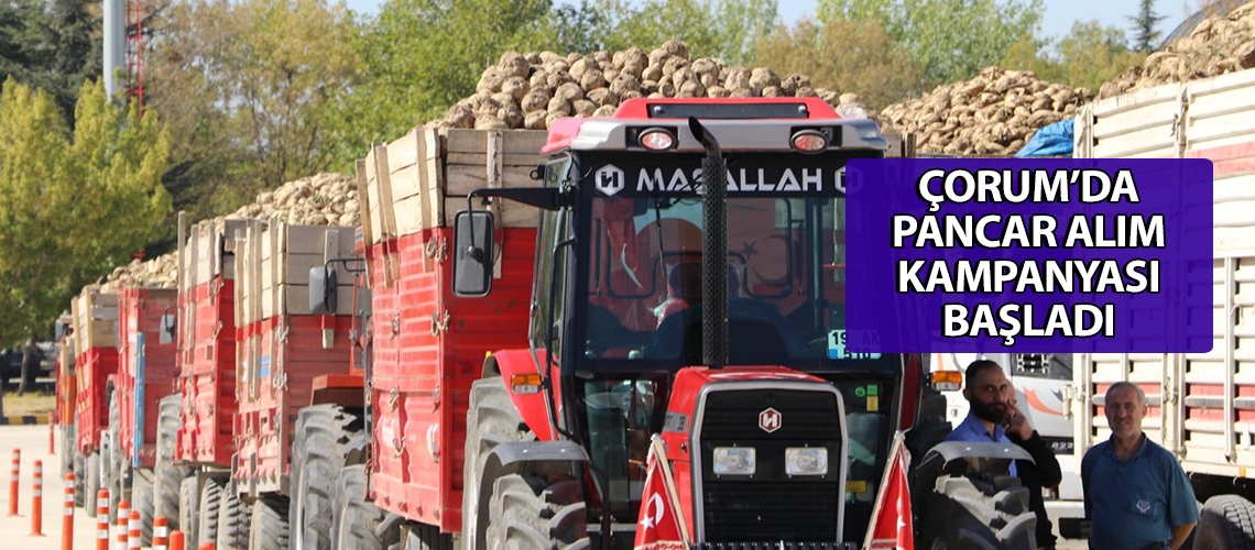 Çorum’da pancar alım kampanyası başladı