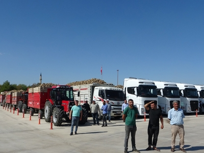 Çorum’da pancar alım kampanyası başladı