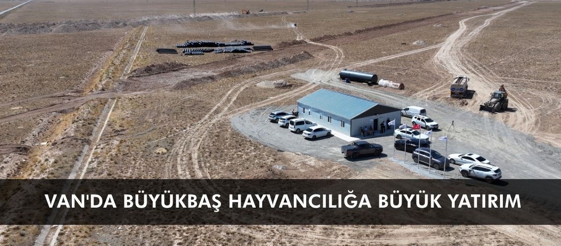Van'da büyükbaş hayvancılığa büyük yatırım