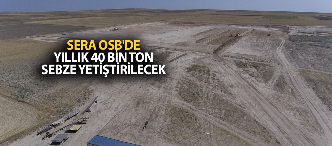 SERA OSB'de yıllık 40 bin ton sebze yetiştirilecek