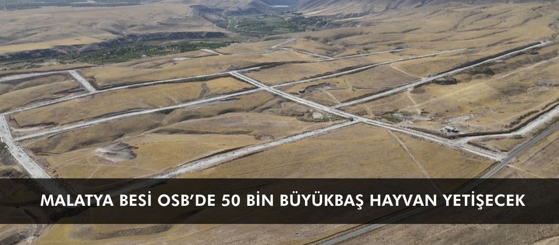 Malatya Besi OSB’de 50 bin büyükbaş hayvan yetişecek