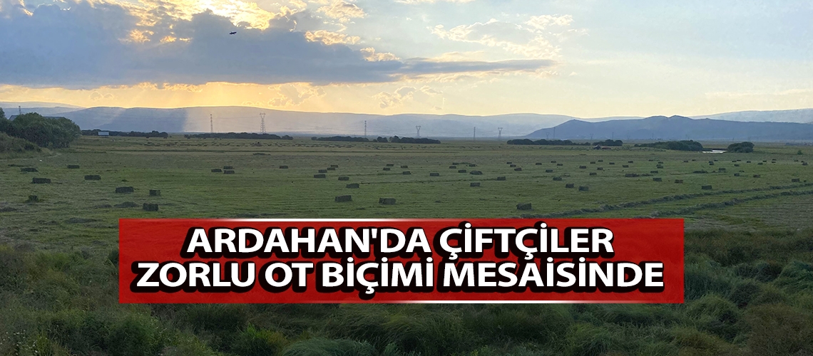 Ardahan'da çiftçiler zorlu ot biçimi mesaisinde