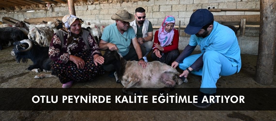 Otlu peynirde kalite eğitimle artıyor