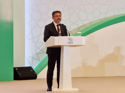 “TDT ülkeleri ortak sigorta havuzu oluşturacak”