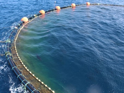 Su ürünlerinde hedef Çin pazarı