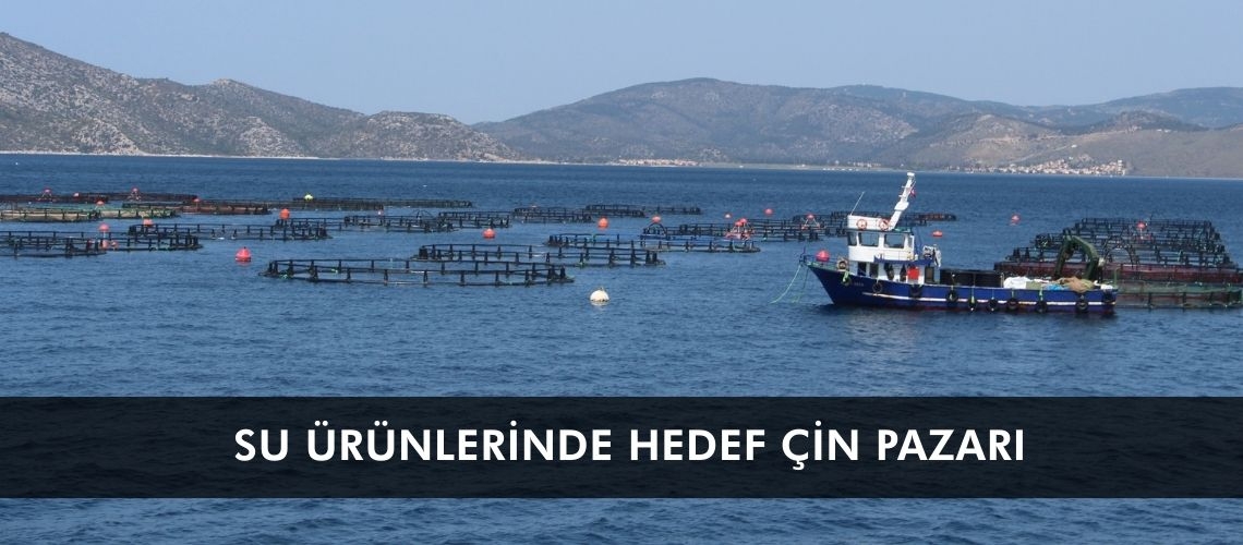 Su ürünlerinde hedef Çin pazarı