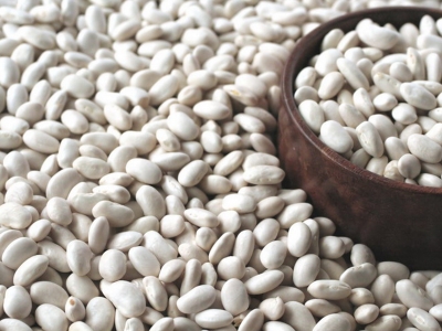 Kuru fasulye üretiminde rekor