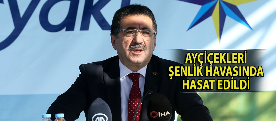 Ayçiçekleri şenlik havasında hasat edildi