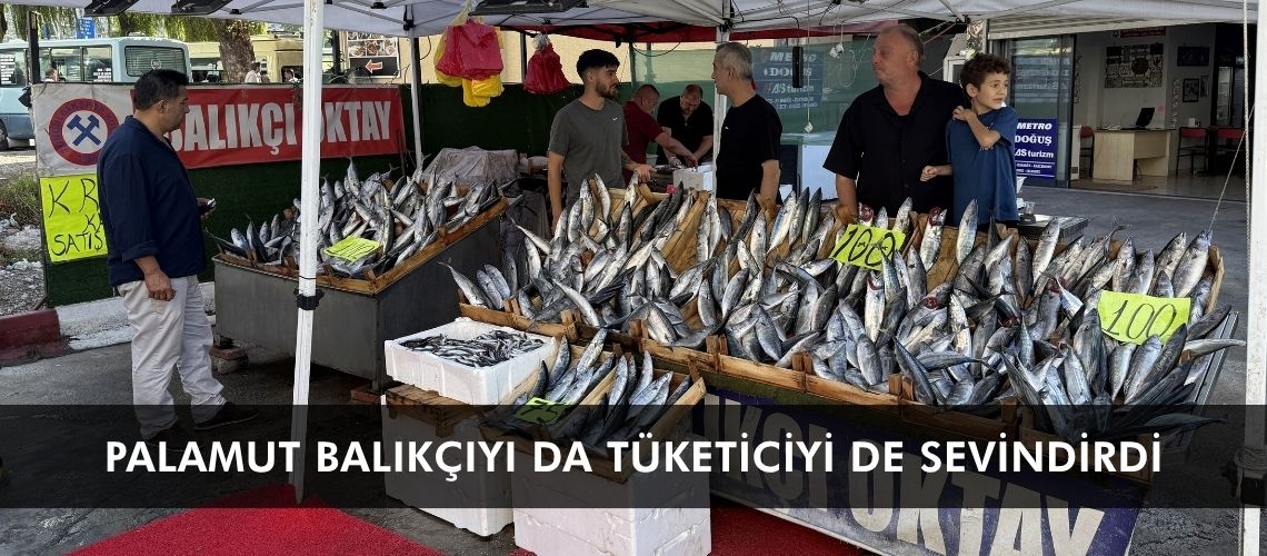 Palamut balıkçıyı da tüketiciyi de sevindirdi