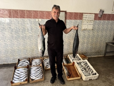 Sinop’ta palamut bolluğu