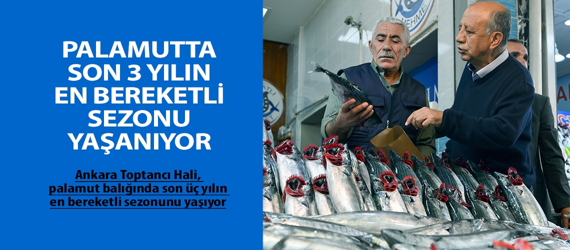 Palamutta son 3 yılın en bereketli sezonu yaşanıyor