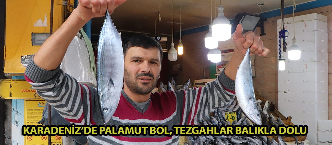 Karadeniz’de palamut bol, tezgahlar balıkla dolu