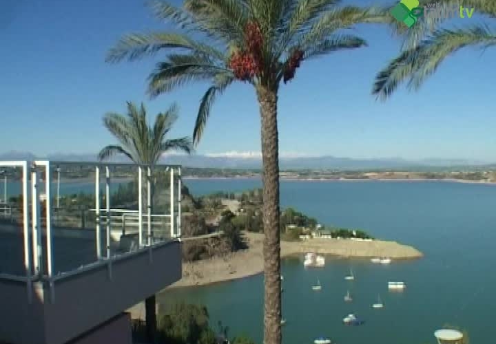 Palmiye Kırmızı Böceği