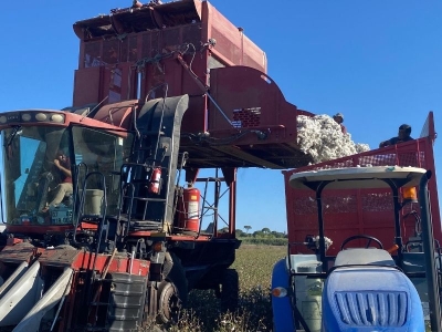 Antalya'nın pamukta hedefi 17 bin ton