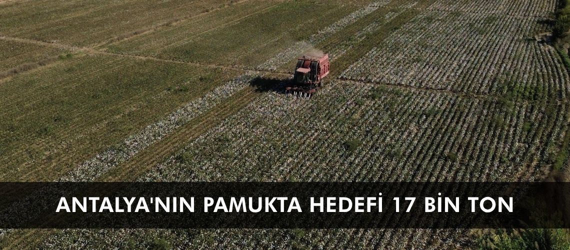 Antalya'nın pamukta hedefi 17 bin ton