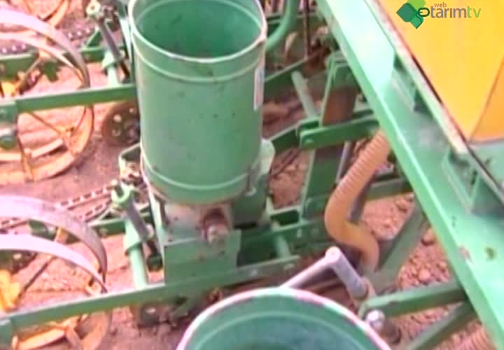 Pamukta Delinte Edilmiş Sertifikalı Tohumluk Kullanımının Önemi