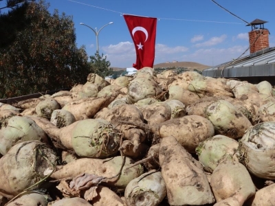 Şeker pancarı alım fiyatı açıklandı
