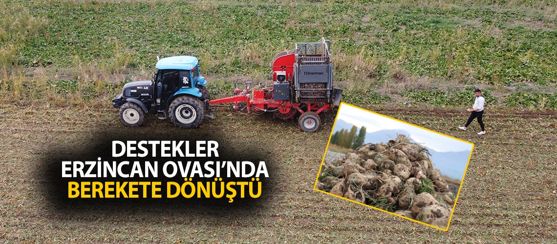 Destekler Erzincan Ovası’nda berekete dönüştü