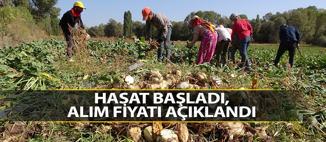 Hasat başladı, alım fiyatı açıklandı
