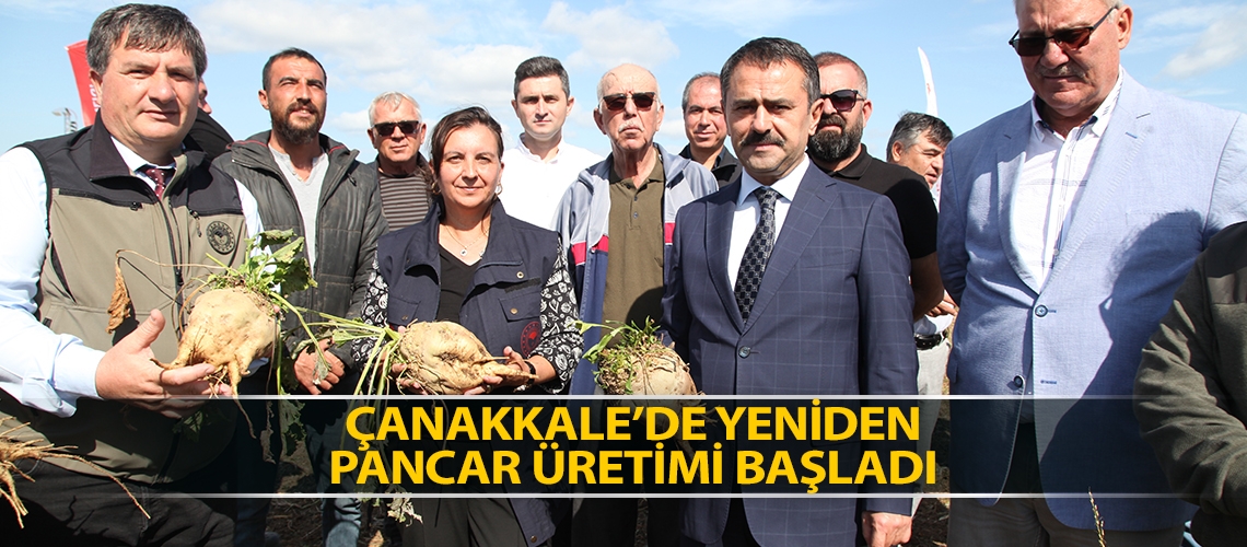 Çanakkale’de yeniden pancar üretimi başladı