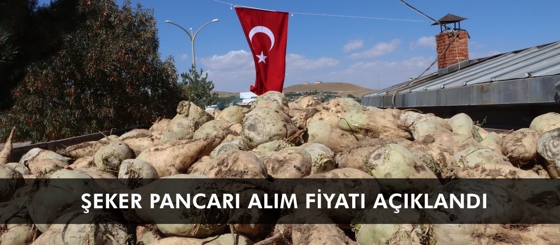 Şeker pancarı alım fiyatı açıklandı