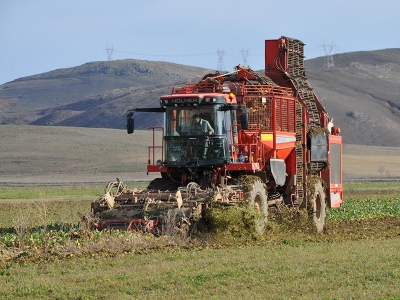 Destekler şeker pancarına iyi geldi