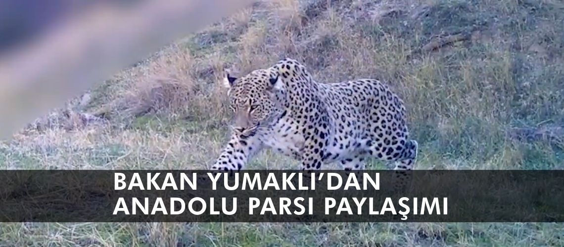 Bakan Yumaklı’dan Anadolu parsı paylaşımı