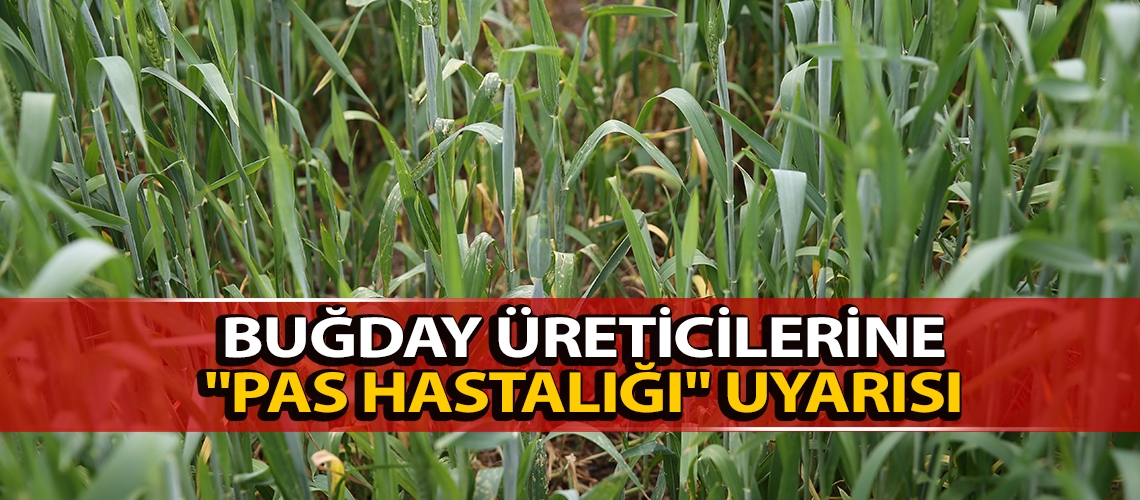 Buğday üreticilerine 